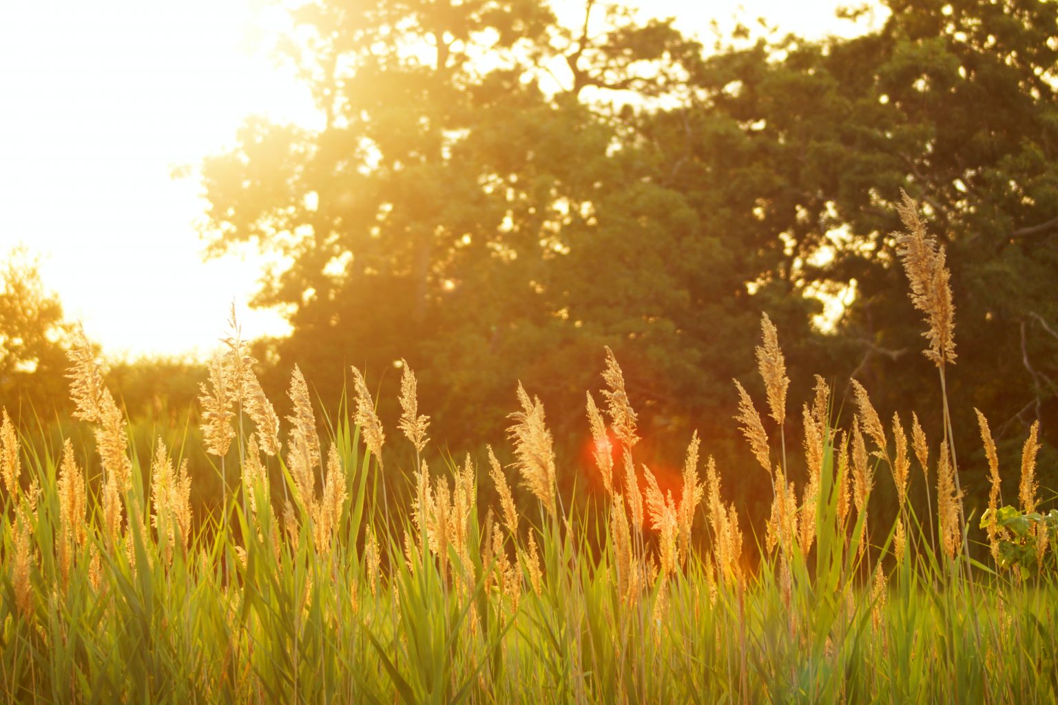 9 Tips for Landing a Summer Internship